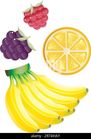 Stock Vector Illustration:  Fruits- vector Stock Vector