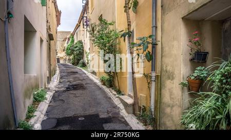 Village street in Bages. . The commune is located in the Regional Natural Park Narbonnaise en Méditerranée. Stock Photo