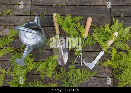 Galvanized watering can, various small garden tools, flower trowel, hand hoe, joint scraper, on old wooden tiles, garden, Stock Photo