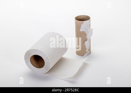 Roll of toilet paper and an empty toilet paper roll, white background, Stock Photo