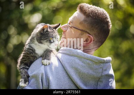 Smiling man carrying his curious cat on shoulder. Pet owner with old tabby cat in garden at sunny day. Stock Photo