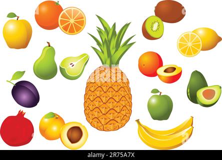 Set of different fruits isolated on the white Stock Vector