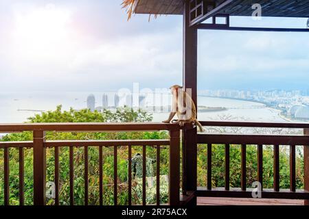 Aerial view of the coastal city of Sanya on China's Hainan Island Stock Photo