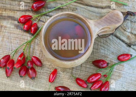 dog rose (Rosa canina), selfmade rose-hip tea, Germany Stock Photo