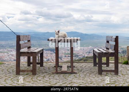 A picture of a stray cat resting on top of a table at the Pergamon Ancient City. Stock Photo