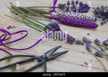 English lavender (Lavandula angustifolia, Lavandula officinalis), lavender sticks, fresh lavender wrapped with satin ribbon for linen cupboard Stock Photo