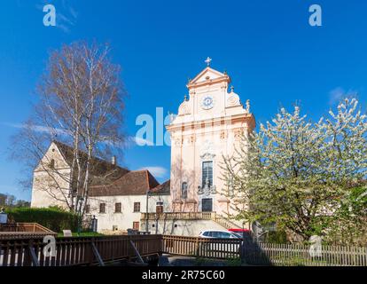 Mauerbach, Mauerbach Charterhouse, Carthusian church, flowering tree in Vienna Woods (Wienerwald), Lower Austria, Austria Stock Photo