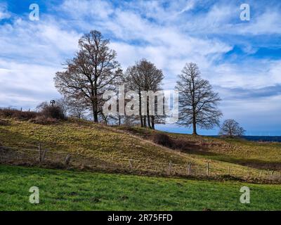 Moraine hill near Apfeldorf Stock Photo
