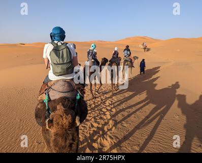 A caravan of dromedaries passing the Sahara desert in the evening, Erg Chebbi in Morocco Stock Photo