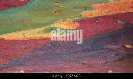 colorful abstract background of wooden surface texture, Stock Photo