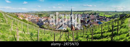 View from the Schwabsburg in Rheinhessen in the town of the same name, imperial castle of the Staufers from the 12th century Stock Photo