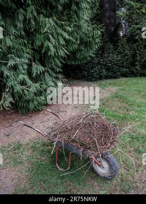 full wheelbarrow in the garden Stock Photo