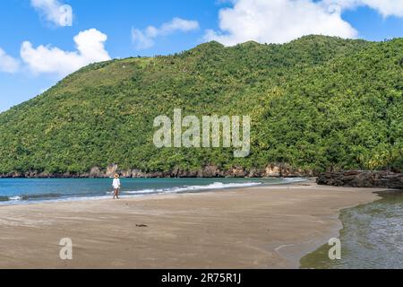 North America, Caribbean, Greater Antilles, Hispaniola Island, Dominican Republic, Sama Province, Sama Peninsula, Playa El Valle, woman strolling along the beach Stock Photo