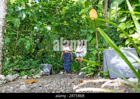 North America, Caribbean, Greater Antilles, Hispaniola Island, Dominican Republic, North Coast, Puerto Plata Province, Cabarete, Natura Cabana, Two girlfriends strolling along a gravel road Stock Photo
