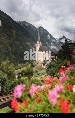 Heiligenblut am Großglockner, St. Vincent parish church with thunderstorm atmosphere and red flowers in foreground Stock Photo