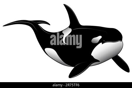 Killer whale tattoo Royalty Free Vector Image - VectorStock