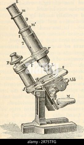 'The elements of physiological physics: an outline of the elementary facts, principles, and methods of physics; and their applications in physiology' (1884) Stock Photo