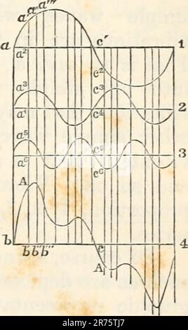 'The elements of physiological physics: an outline of the elementary facts, principles, and methods of physics; and their applications in physiology' (1884) Stock Photo