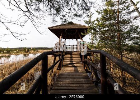 Europe, Poland, Lublin Voivodeship, Lasy Janowskie / Janow Forests Landscape Park, Imielity Lug nature reserve, nature trail Stock Photo