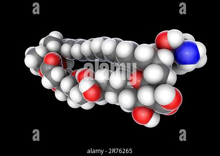 Amphotericin B antifungal drug molecule. Chemical formula is C47H73NO17. Atoms are represented as spheres: carbon (grey), hydrogen (white), nitrogen ( Stock Photo