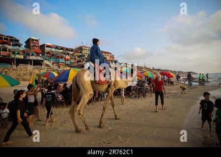 Gaza, Palestine. 13th June, 2023. Kids ride on a camel at the beach in Deir El Balah. Palestinian families flock to the Gaza beach to take a break due to the high temperatures in Deir al-Balah central Gaza Strip, Palestinian Territories, on 11 June 2023. Photo by Ramez Habboub/ABACAPRESS.COM Credit: Abaca Press/Alamy Live News Stock Photo