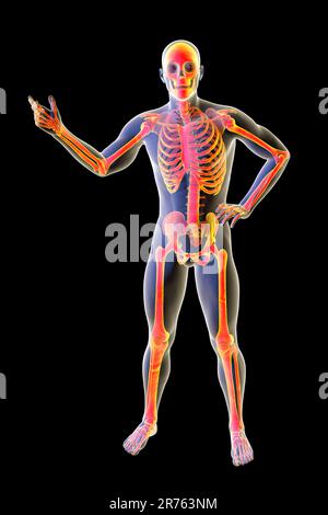 Human full body with skeleton in a speaker pose, front view, conceptual computer illustration. Stock Photo