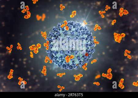 Illustration of antibodies (y-shaped) responding to an infection with the new coronavirus SARS-CoV-2. The virus emerged in Wuhan, China, in December 2 Stock Photo