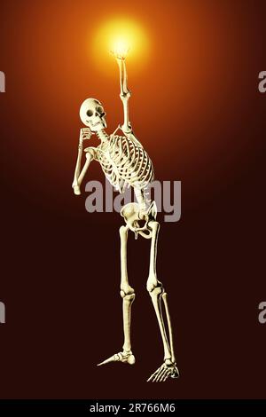 Skeleton boxing, computer illustration. Stock Photo