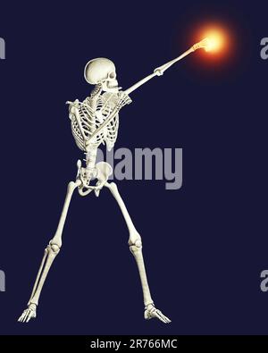 Skeleton boxing, computer illustration. Stock Photo