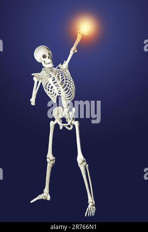 Skeleton boxing, computer illustration. Stock Photo