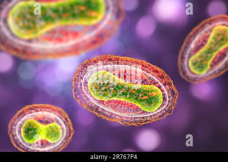 Smallpox virus. Illustration of a smallpox (variola) virus. A membrane (transparent) derived from its host cell covers the virus particle. Inside this Stock Photo