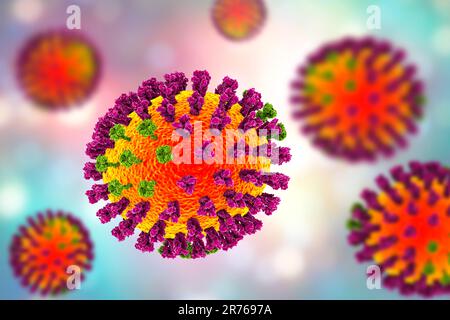 Flu viruses, computer illustration. Each virus consists of a core of RNA (ribonucleic acid) genetic material surrounded by a protein coat (orange). Em Stock Photo