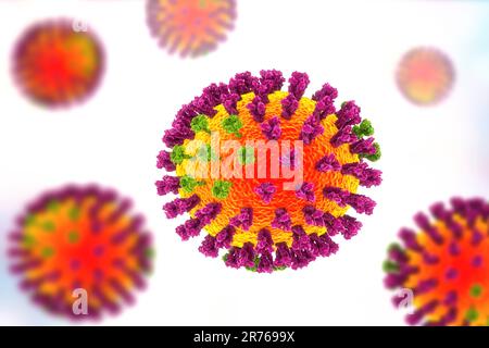 Flu viruses, computer illustration. Each virus consists of a core of RNA (ribonucleic acid) genetic material surrounded by a protein coat (orange). Em Stock Photo