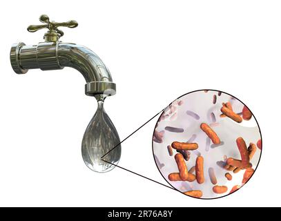 Safety of drinking water, conceptual image showing microbes in a drop of tap water. Stock Photo