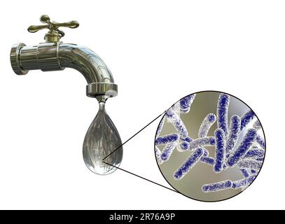 Safety of drinking water, conceptual image showing microbes in a drop of tap water. Stock Photo