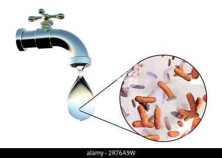 Safety of drinking water, conceptual image showing microbes in a drop of tap water. Stock Photo