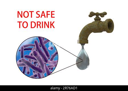 Safety of drinking water, conceptual image showing microbes in a drop of tap water. Stock Photo