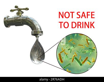 Safety of drinking water, conceptual image showing microbes in a drop of tap water. Stock Photo