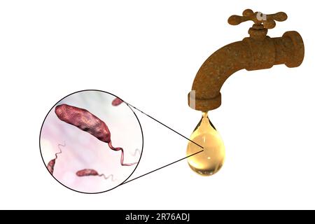 Safety of drinking water, conceptual image showing microbes in a drop of tap water. Stock Photo