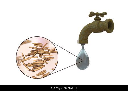 Safety of drinking water, conceptual image showing microbes in a drop of tap water. Stock Photo