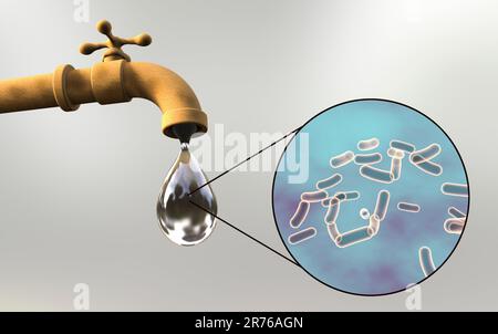 Safety of drinking water, conceptual image showing microbes in a drop of tap water. Stock Photo