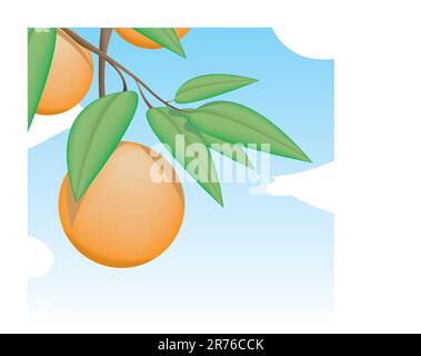 Oranges hanging from a tree with leafs on a bright and sunny day. Stock Vector