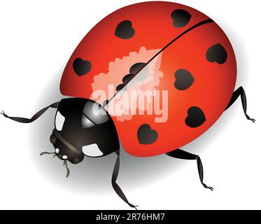 Vector illustration of a ladybug with hearts on back Stock Vector