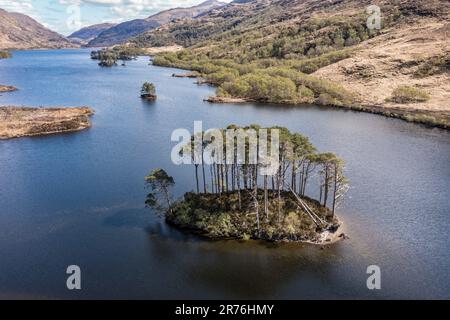 Aerial view over  lake Loch Eilt with island Dumbledore's Grave, scottisch highland, Scotland, UK Stock Photo