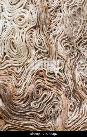 Closeup textured background of rough compressed wood with uneven surface and cracks forming seamless ornament Stock Photo