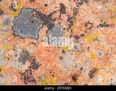 Top view closeup textured background of grunge red rock with cracks and spots Stock Photo