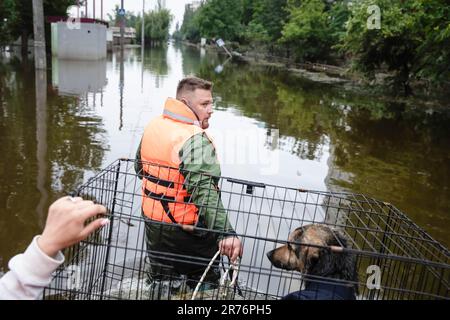 Rescue workers and volunteers rescue pets. The explosion of the Kakhovska hydroelectric plant by the Russian occupiers has been the biggest man-made disaster of recent decades. A week after the tragedy, water is gradually receding from the flooded areas, but more and more information is emerging about the victims and the devastating consequences of yet another Russian war crime in Ukraine. At 02:50 on 6 June, Russian troops blew up the Kakhovskaya hydroelectric plant in the temporarily occupied territory of Kherson Oblast. Due to the destruction of the dam, towns and villages downstream of the