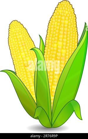 corn ears icon isolated on white background Stock Vector