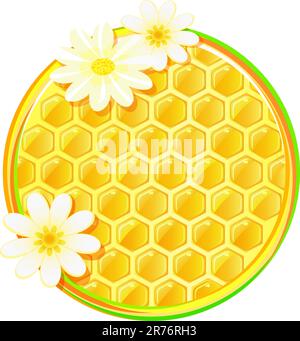 honeycomb in circle with chamomile flower isolated on white background Stock Vector