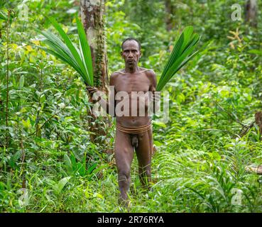 Korowai man walks out of the jungle with palm leaves in his hands. Tribe of Korowai (Kombai , Kolufo). Stock Photo